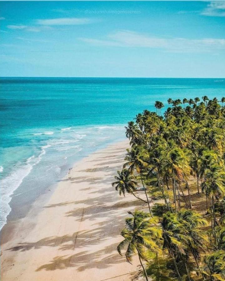 Tamandaré Flat Eco Resort Praia Carneiros Pe מראה חיצוני תמונה